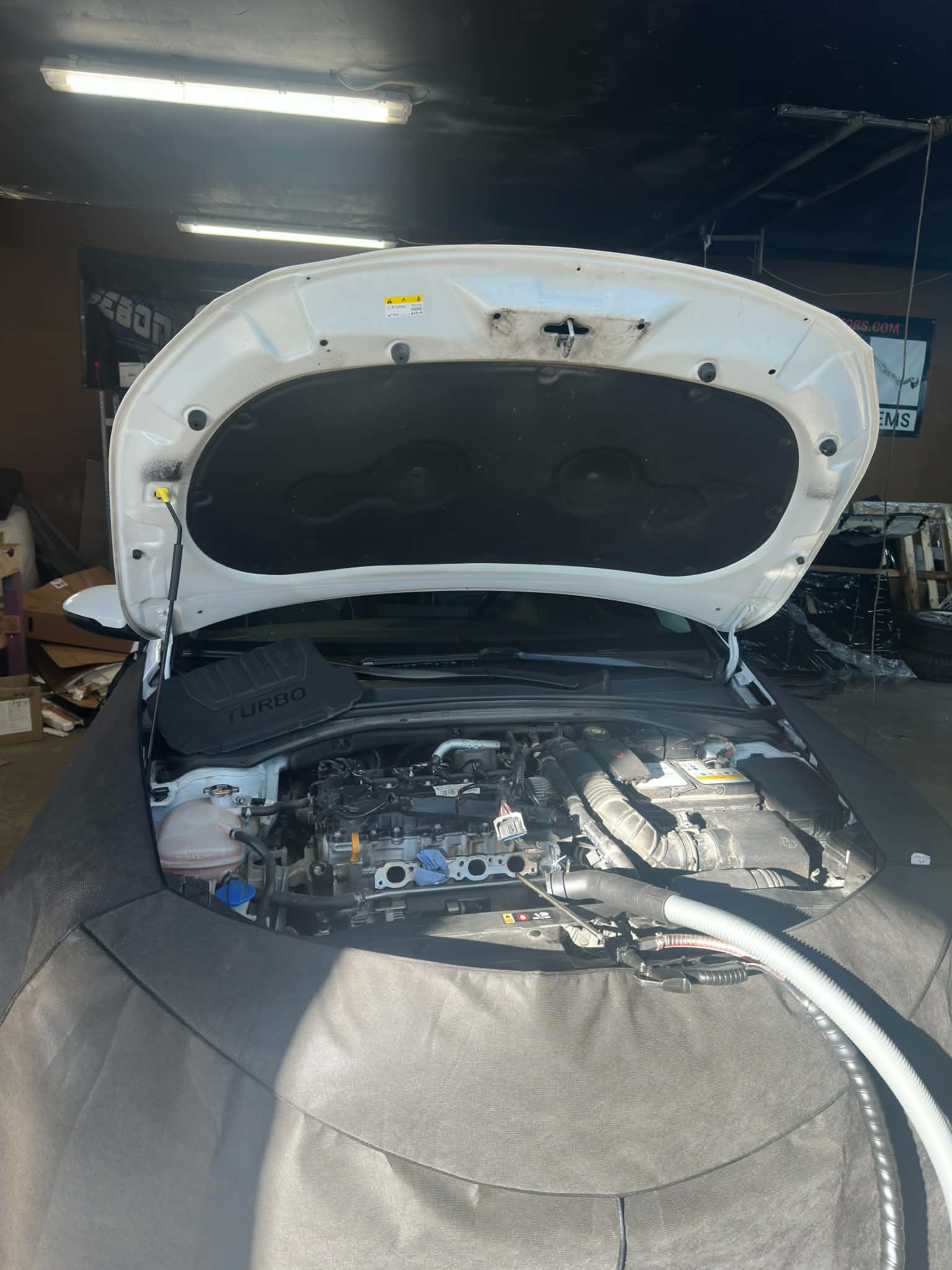 Kia Ceed 1.5 T-GDi - maszyna do orzeszkowania podpięta do silnika